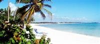 Grand Sirenis Mayan Beach Hotel Spa 37/65