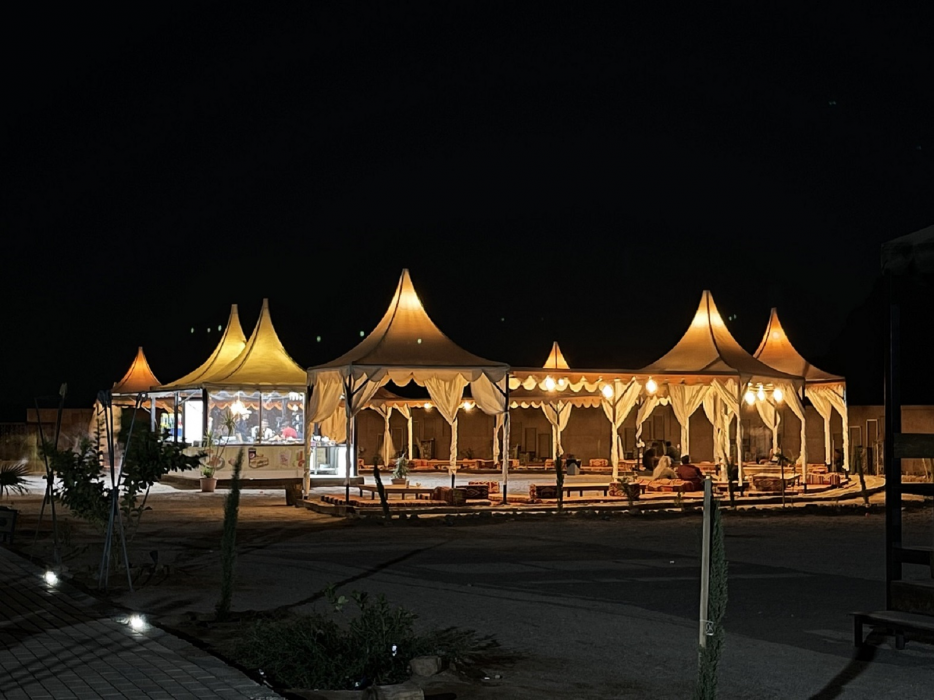 Al Sultana Luxury Camp 22/45