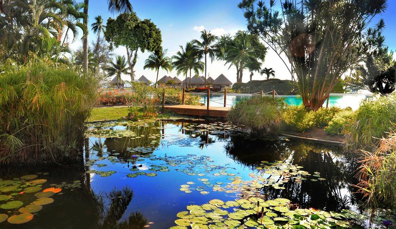 Tahiti Ia Ora Beach Resort 13/83