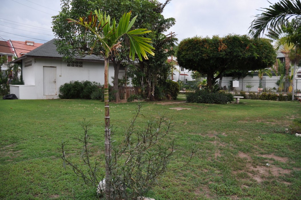 New Kingston Guest Apartment Vii 18/32