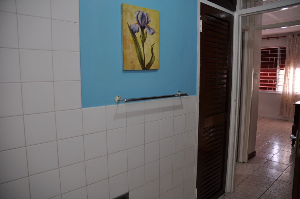 New Kingston Guest Apartment Vii 23/32