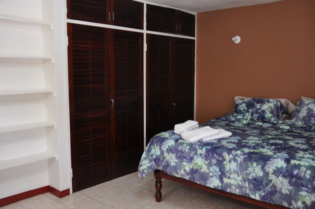 New Kingston Guest Apartment Vii 22/32