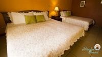 Hotel Miradas Arenal 58/96