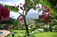 Hotel Miradas Arenal 34/96