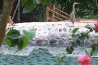 Hotel Sueño Dorado 25/72