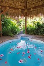 Eden Paradise Spa Ecolodge 9/52