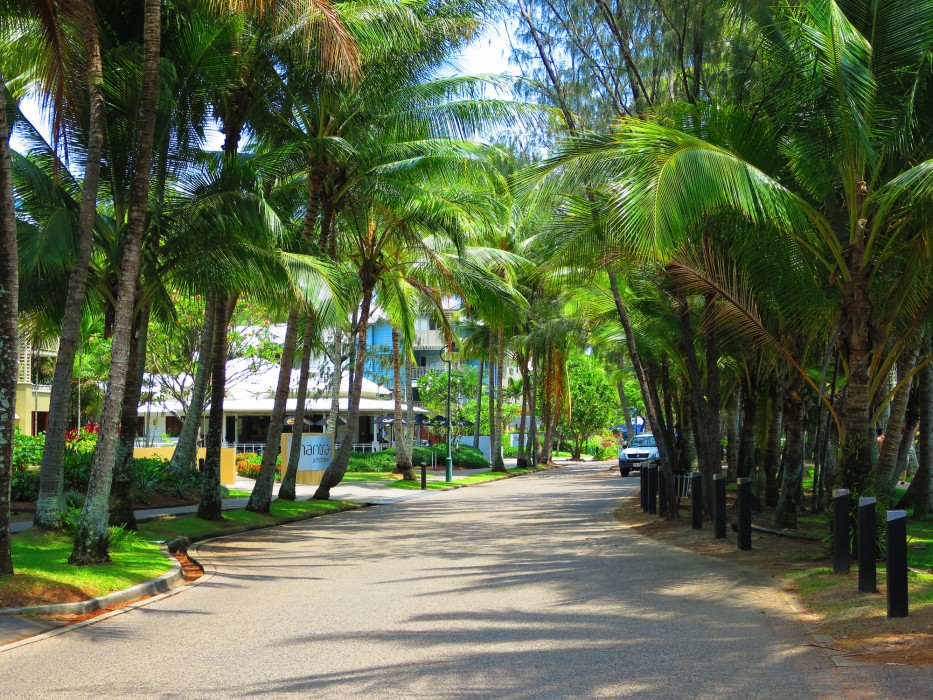 Marlin Waters Beachfront Apartments 70/100