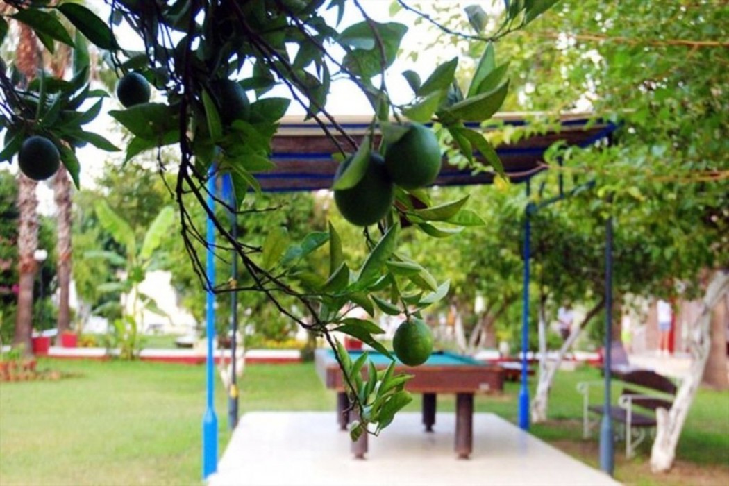 Tal Beach Hotel 8/31