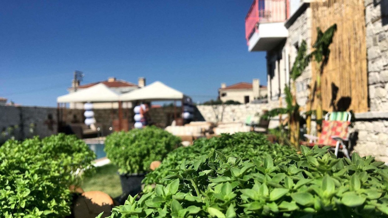 Soul Alacati 41/86
