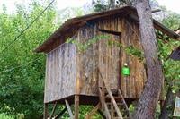 Saban Tree Houses 7/18