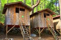 Saban Tree Houses 11/18