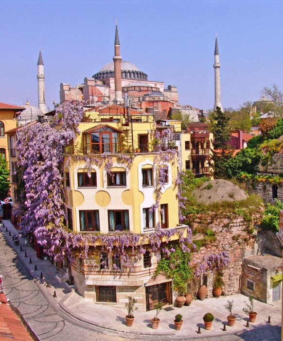 Hotel Empress Zoe 39/100