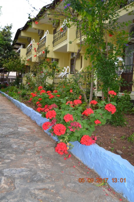 Dalyan Patio Hotel 11/42