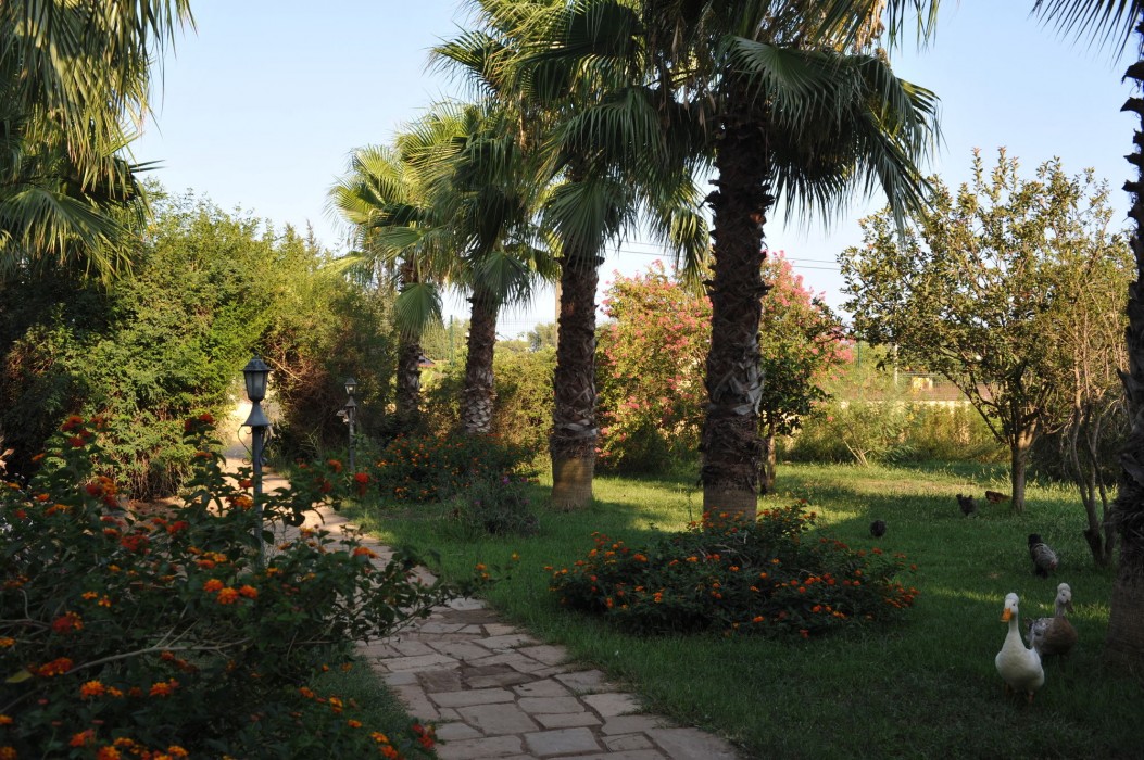 Anatolia Resort 32/96