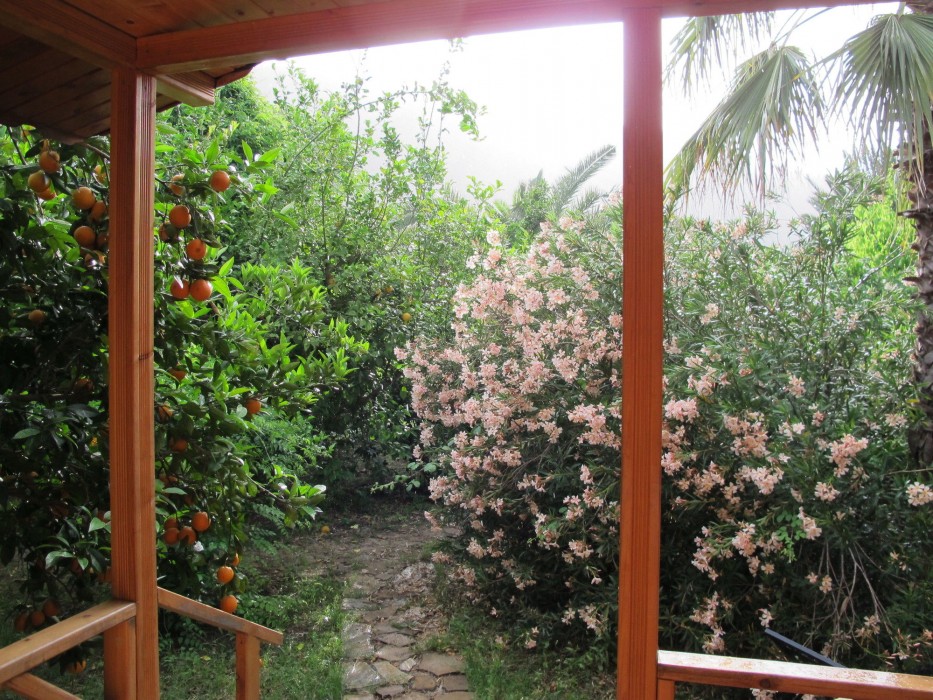 Anatolia Resort 50/96