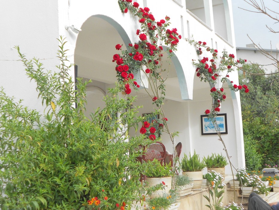Garden Prizma Pension 30/70