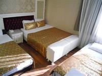 Hotel Coliseum 49/91