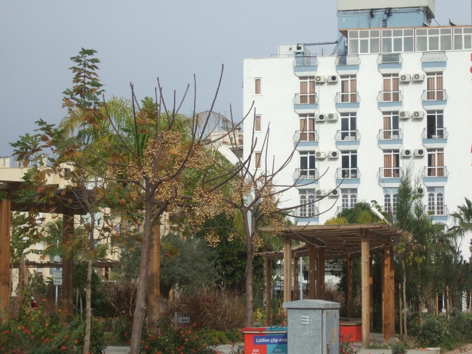 Suntalia Hotel 29/69