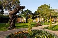 Etenna Bungalow 38/84