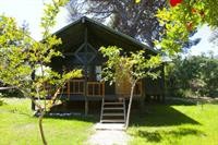 Etenna Bungalow 40/84