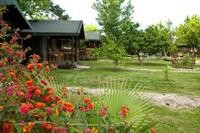 Etenna Bungalow 24/84