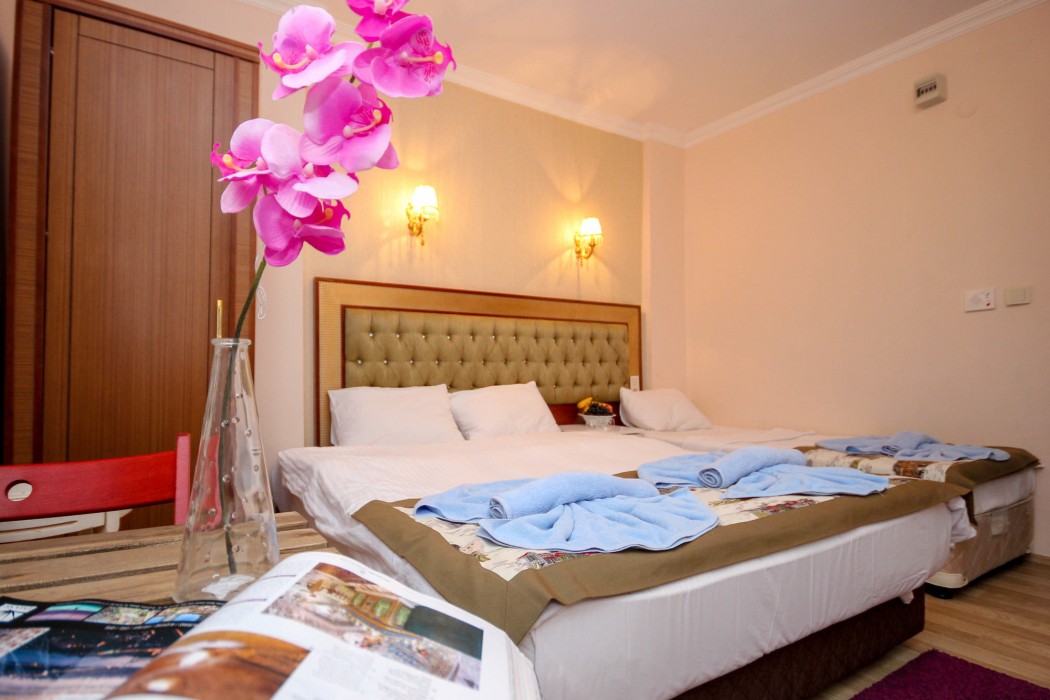 Valeria Deluxe Hotel Sultanahmet 23/40