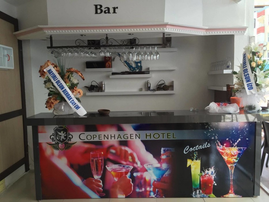 Copenhagen Hotel 14/29