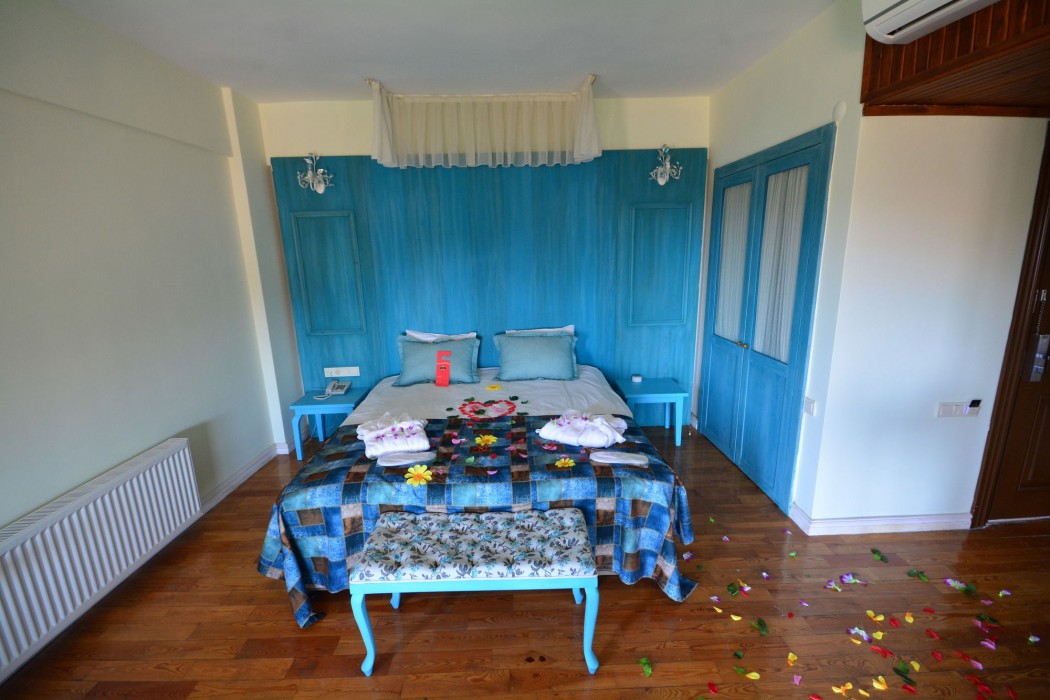 Reis Inn Hotel Kazdaglari 9/44