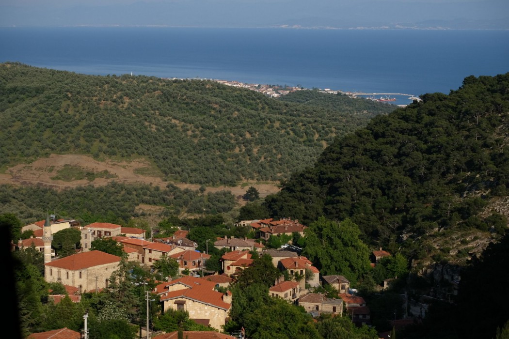 Reis Inn Hotel Kazdaglari 18/44