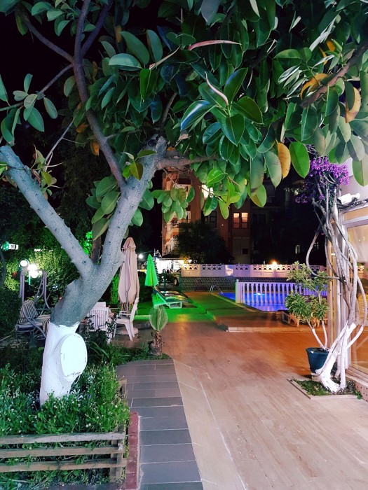 Palmen Apart Hotel 31/100