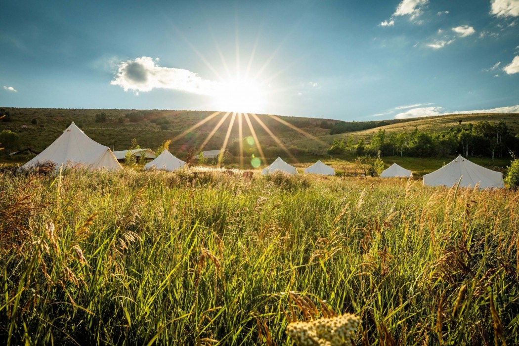 Conestoga Ranch Glamping Resort 53/100