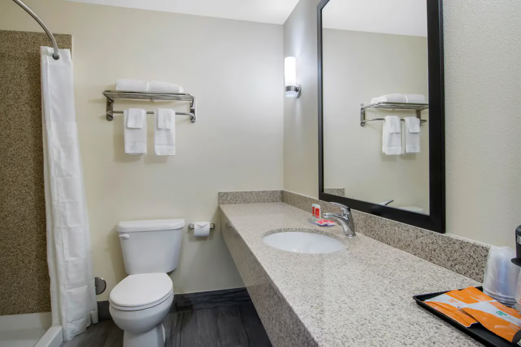 Econo Lodge Inn & Suites Springfield Main Street 13/63
