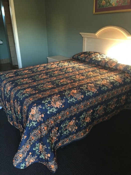 Deluxe Motel 13/17