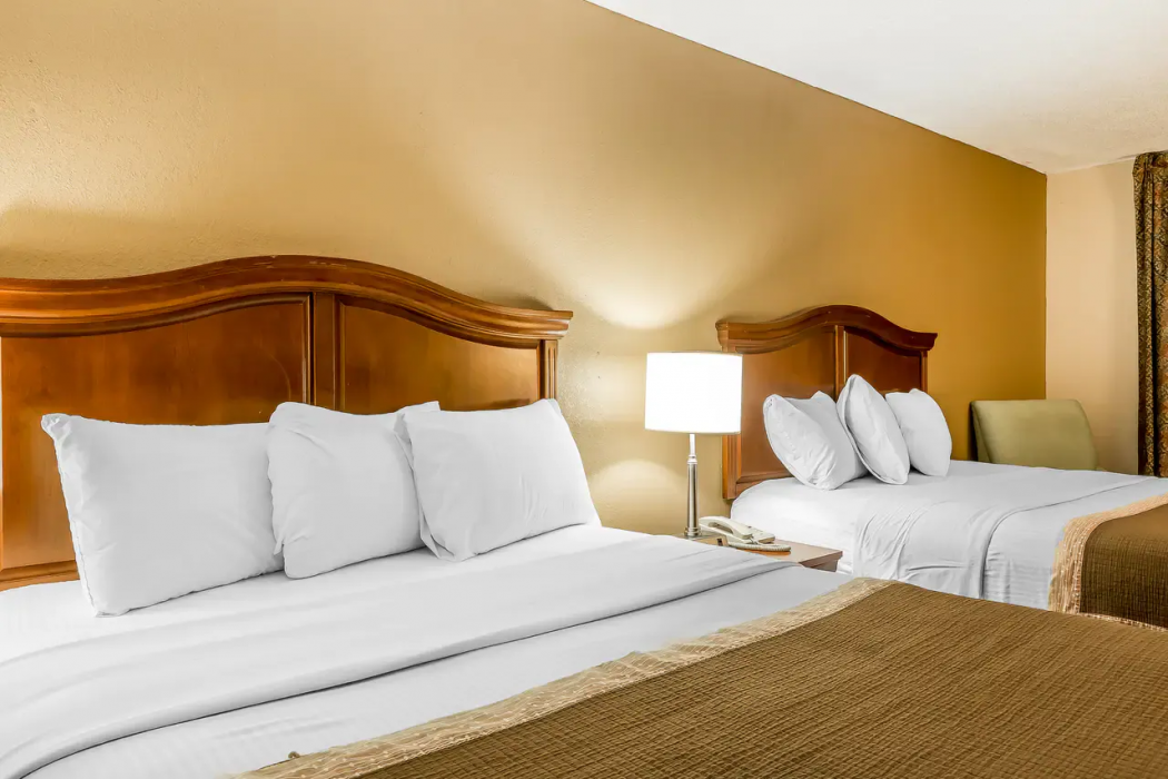 Rodeway Inn Knoxville East 13/29