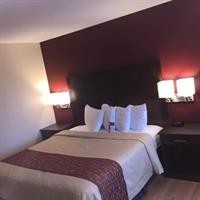 Evergreen Inn Suites Portland 24/48
