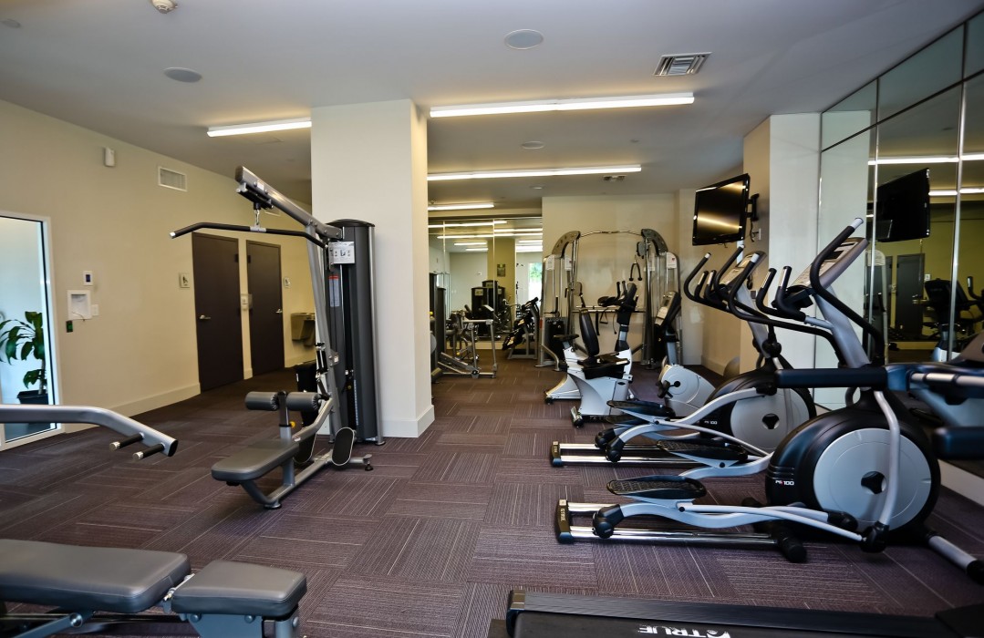 Nuovo Miami At Brickell 1St 44/50