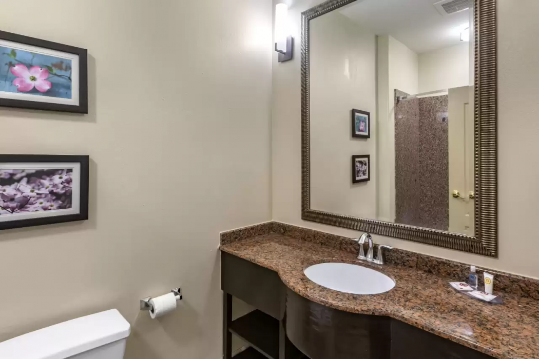 Comfort Inn & Suites Villa Rica, GA 19/47