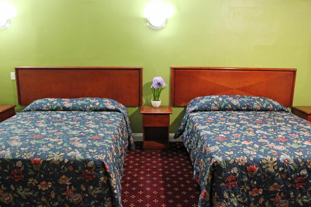 Royla Motel 8/44