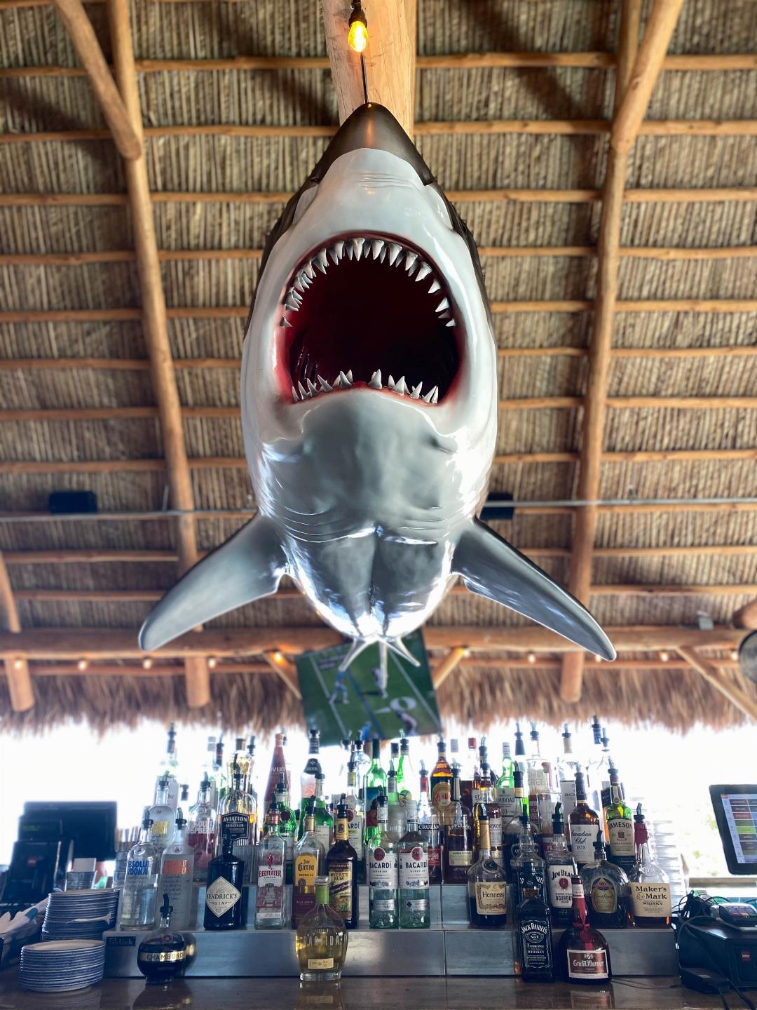 Compass Hotel Anna Maria Sound by Margaritaville 24/40
