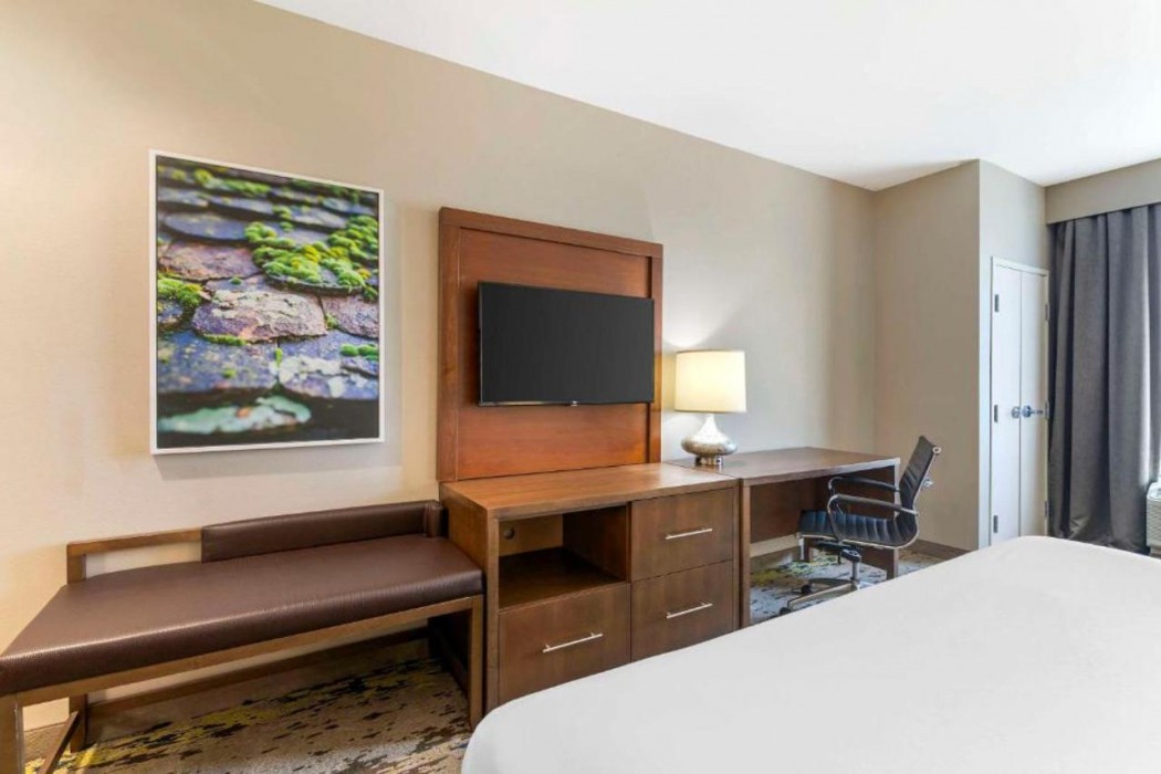 Comfort Inn & Suites Valdosta I-75 15/29