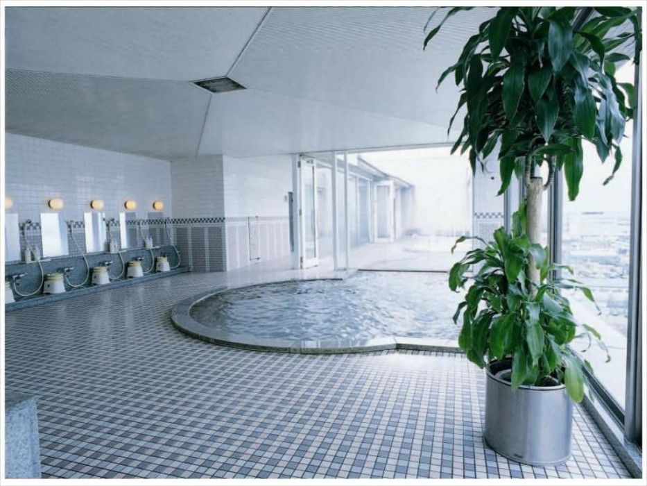 Tokyo Dai-Ichi Hotel Tsuruoka 23/42