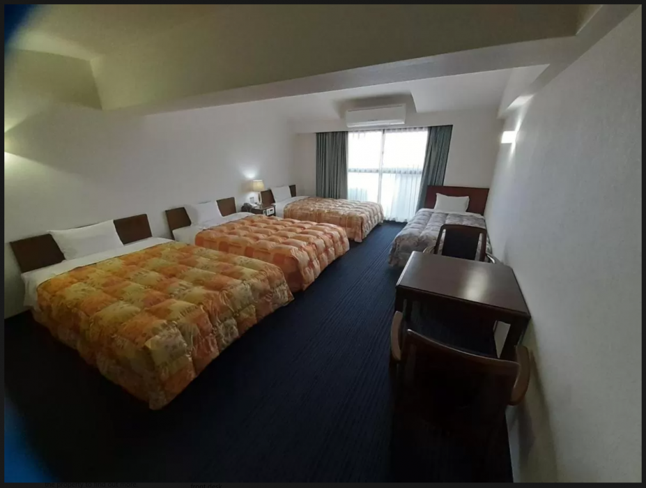 Hotel Newplaza Kurume 7/28