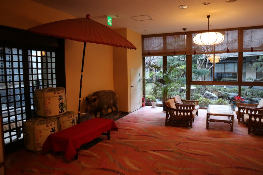 Shingenkan 3/30