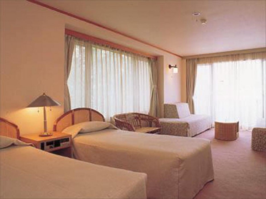 The Hotel Fujiyama 9/19