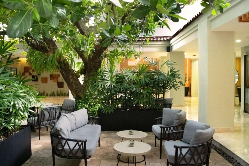 Hilton San Salvador酒店(Hilton San Salvador) 图片3