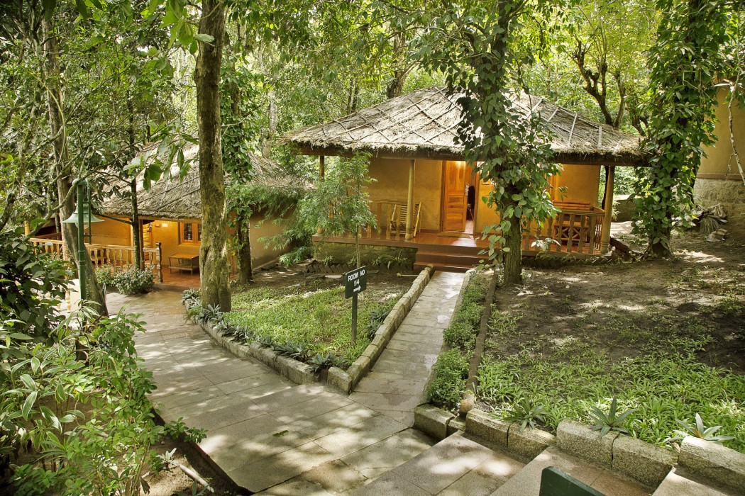 Sterling Thekkady 25/66