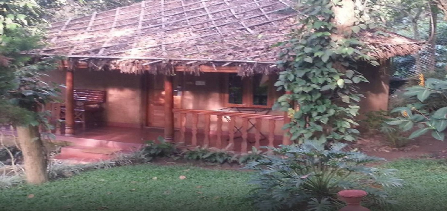 Sterling Thekkady 36/66