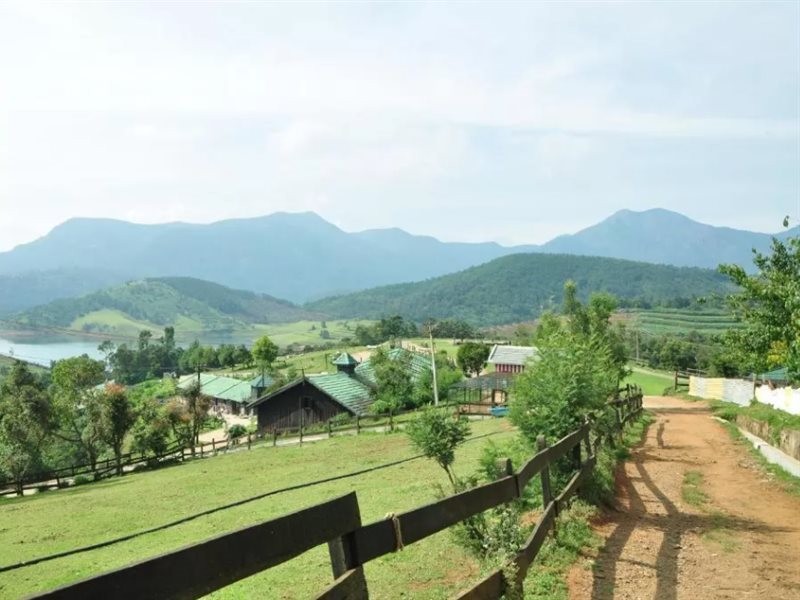 Destiny – An Adventure Farmstay Resort 16/42