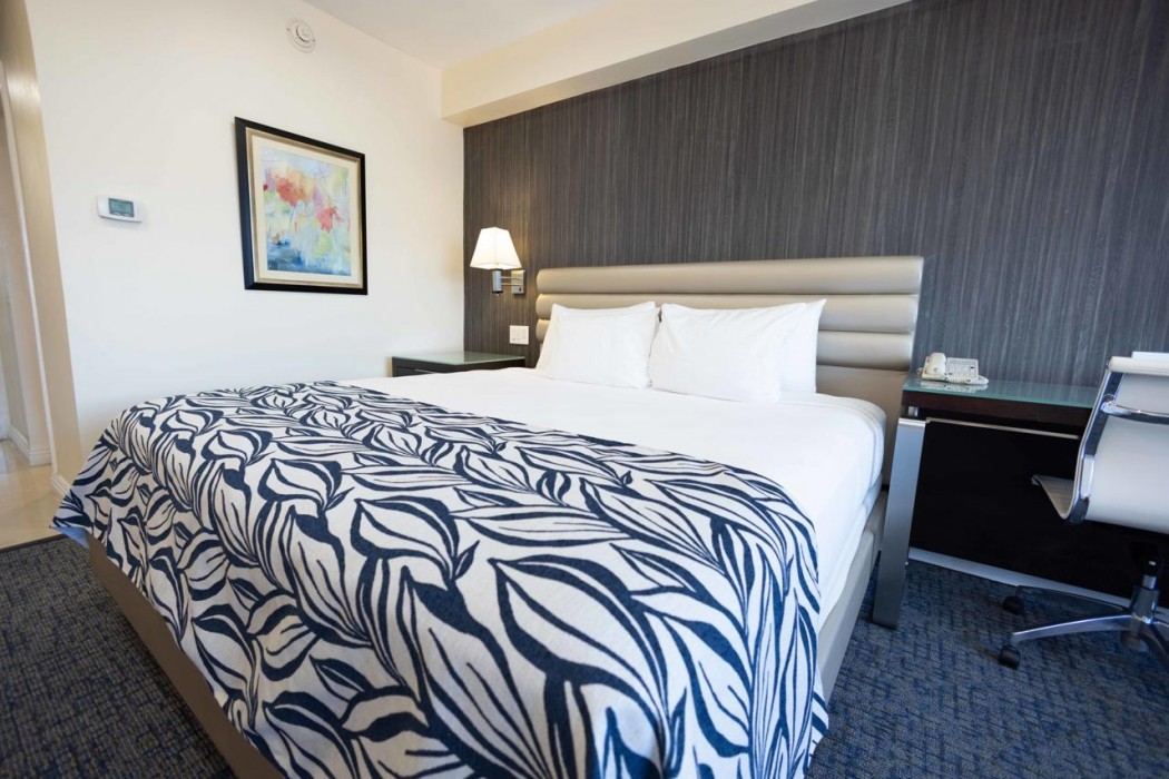 Jamaica Pegasus Hotel 24/100
