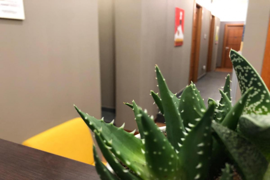 ピアッツァ カリタ 写真3